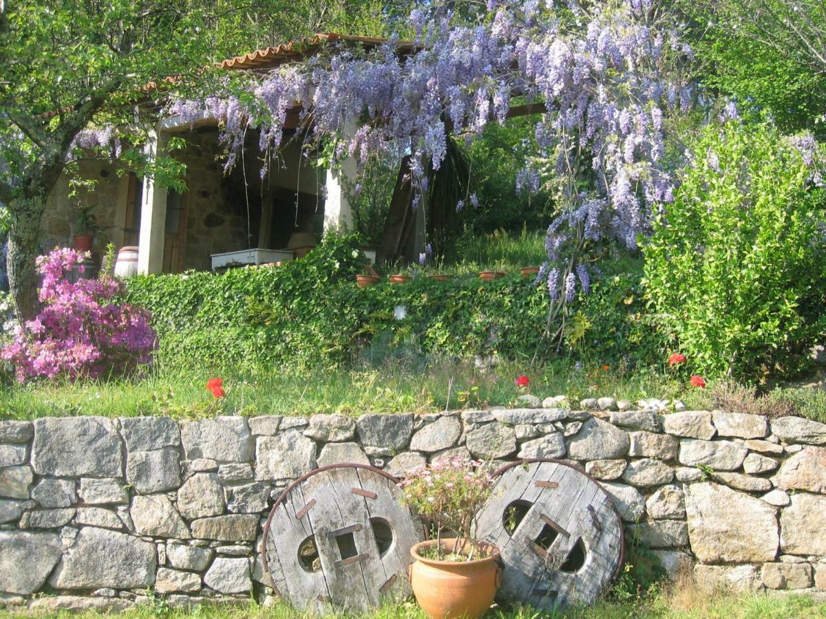 O Lughar Darriba Fogar Natural Gallardo Extérieur photo